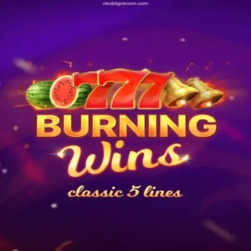 Exploring the Excitement of BurningWins and OKOKTIGRE.COM's Vast Casino Offerings